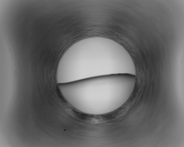 X0000116140420200911230935