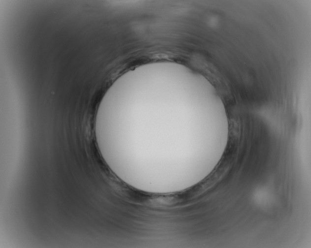 X0000116140422200911230935