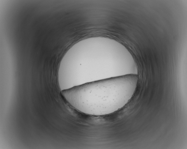 X0000116140424200911230935