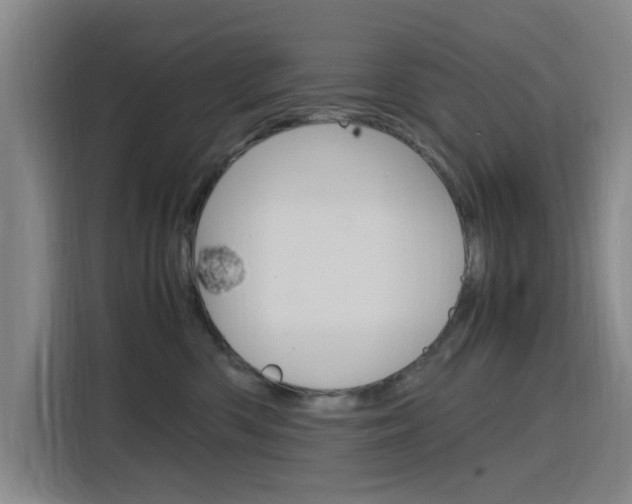 X0000116140426200911230935