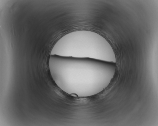 X0000116140428200911230935