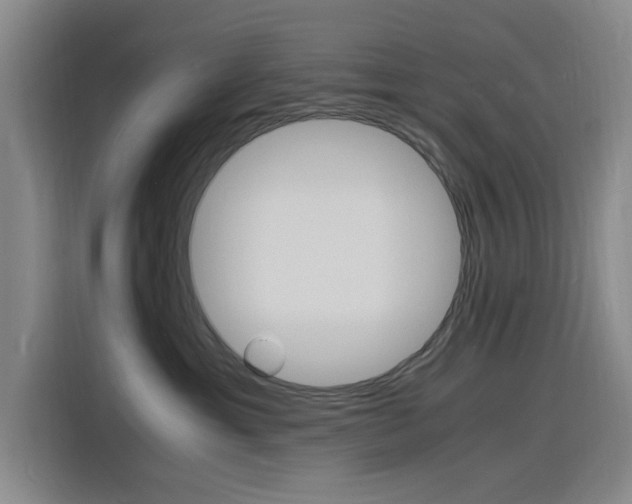 X0000116140429200911230935