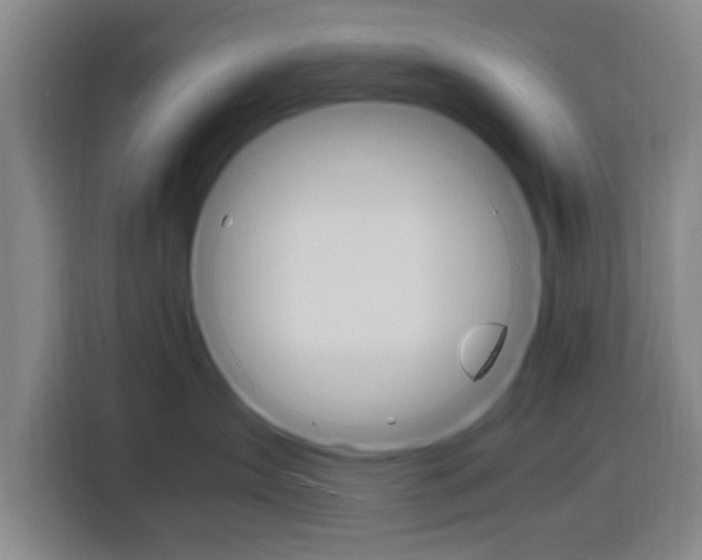 X0000116140431200911230935