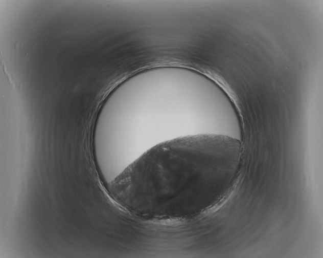 X0000116140433200911230935