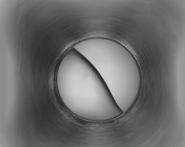 X0000116140434200911230935