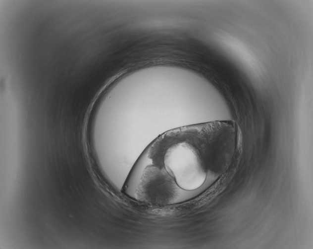 X0000116140435200911230935