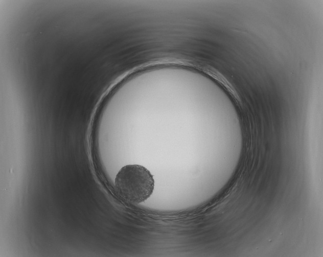 X0000116140436200911230935
