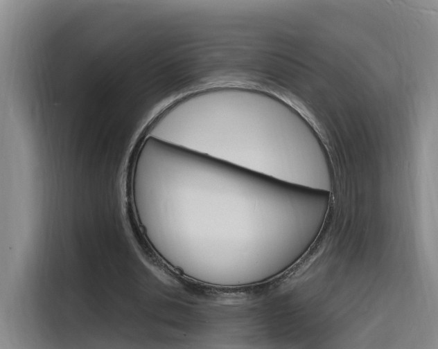 X0000116140438200911230935