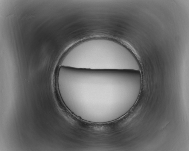 X0000116140439200911230935