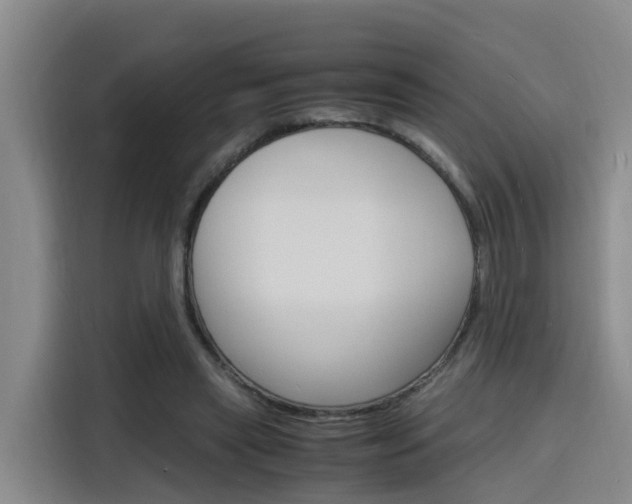 X0000116140445200911230935