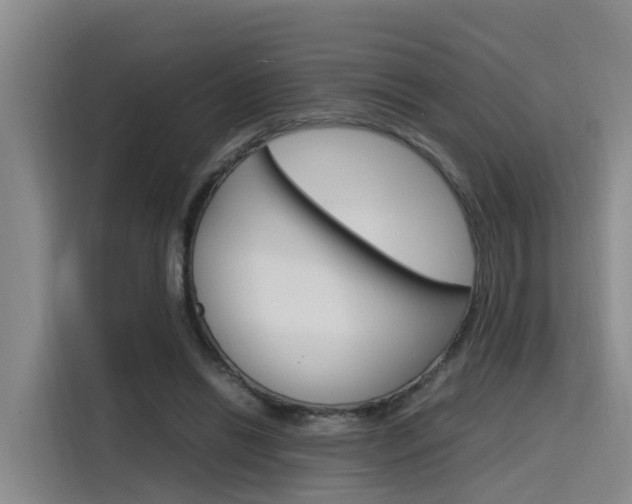 X0000116140446200911230935