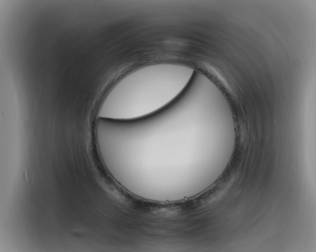 X0000116140447200911230935