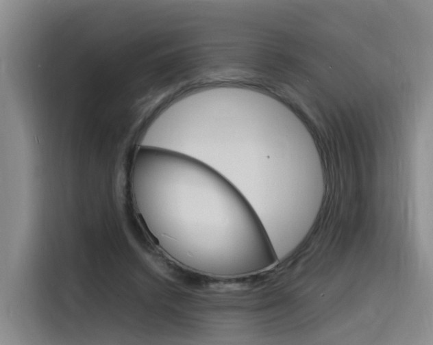 X0000116140448200911230935