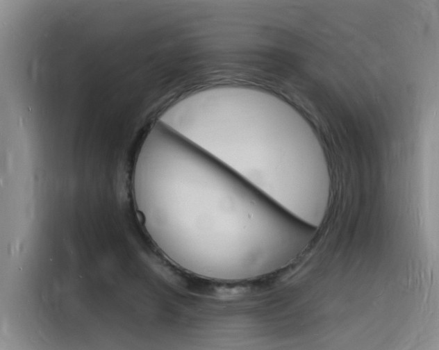X0000116140450200911230935