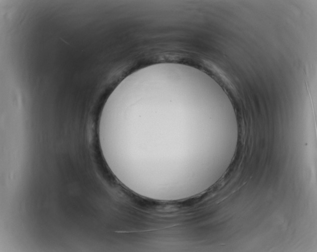 X0000116140451200911230935