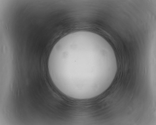 X0000116140452200911230935