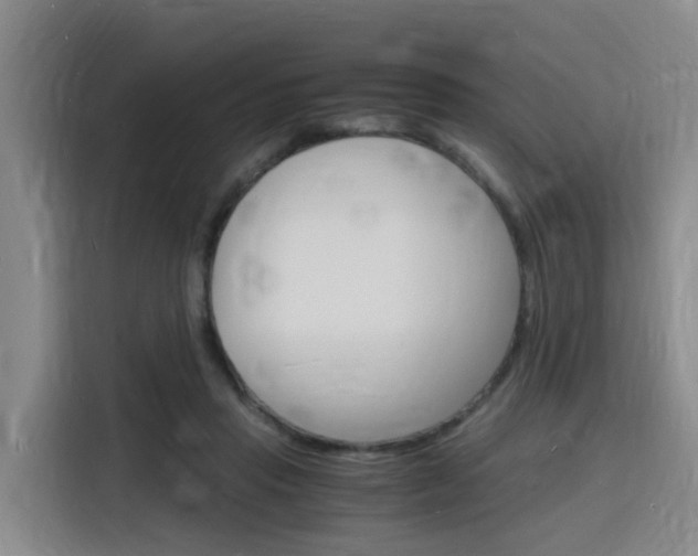 X0000116140453200911230935