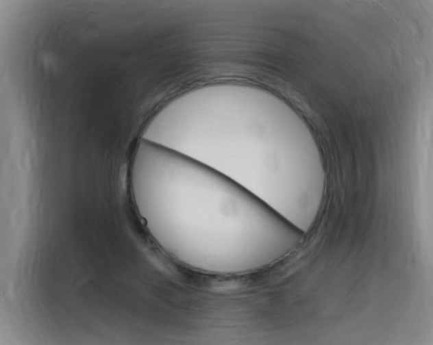 X0000116140454200911230935