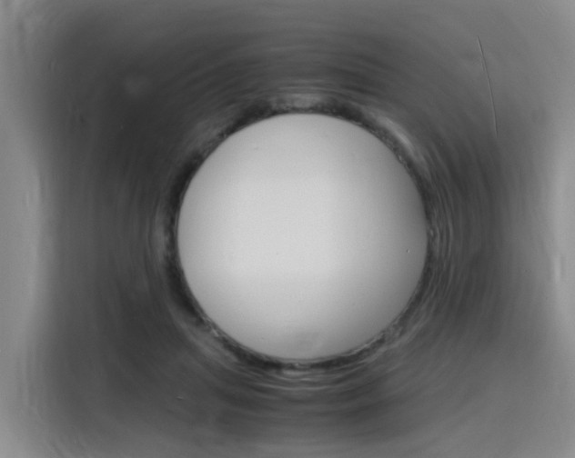 X0000116140455200911230935