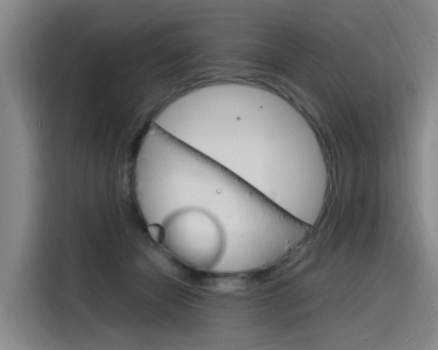 X0000116140462200911230935