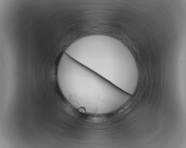 X0000116140466200911230935