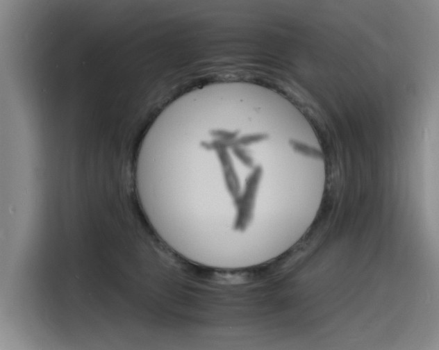 X0000116140469200911230935