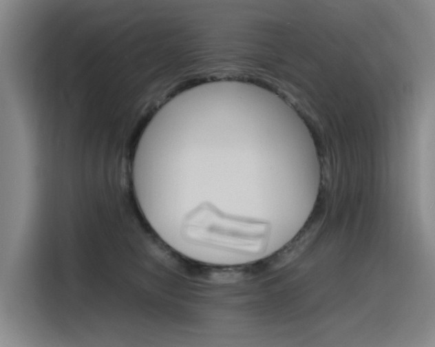 X0000116140470200911230935