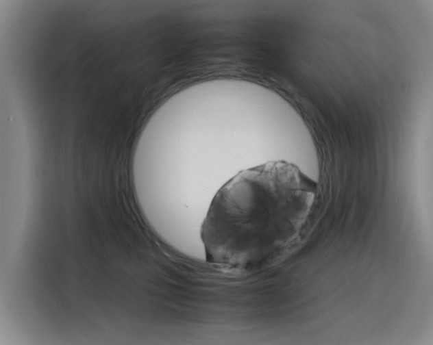 X0000116140471200911230935