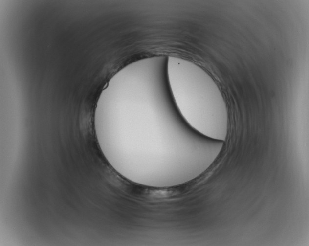 X0000116140473200911230935
