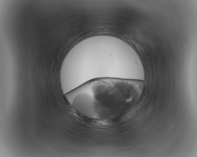 X0000116140475200911230935