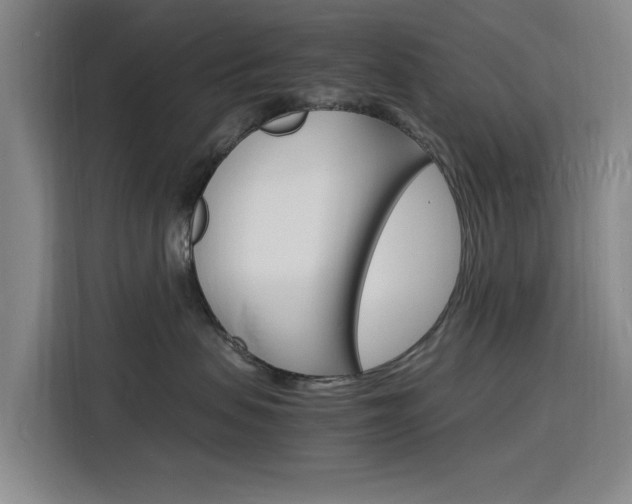 X0000116140479200911230935