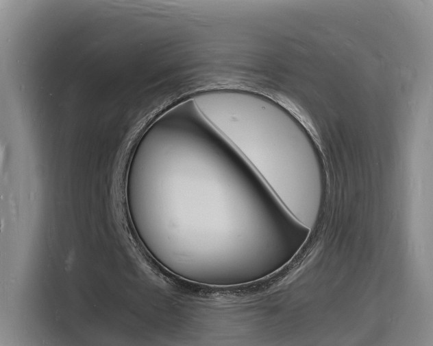 X0000116140481200911230935