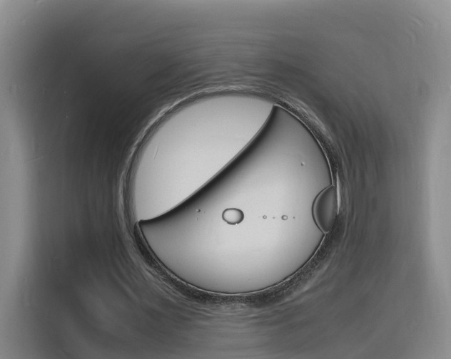 X0000116140483200911230934