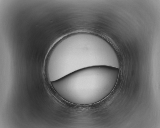 X0000116140484200911230934