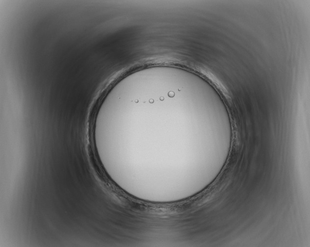 X0000116140486200911230934