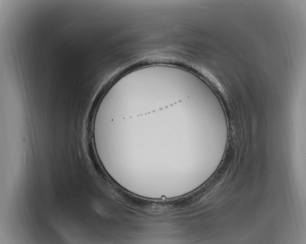 X0000116140487200911230934