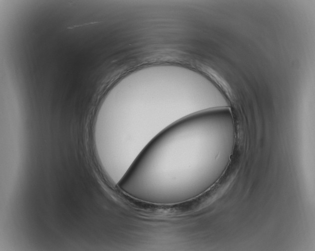 X0000116140493200911230934