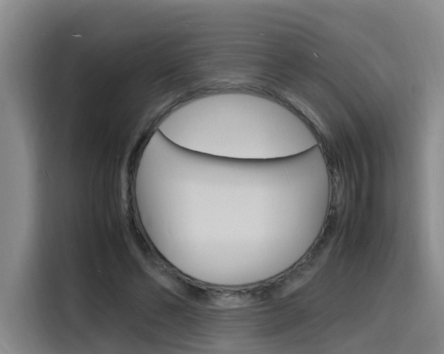 X0000116140494200911230934