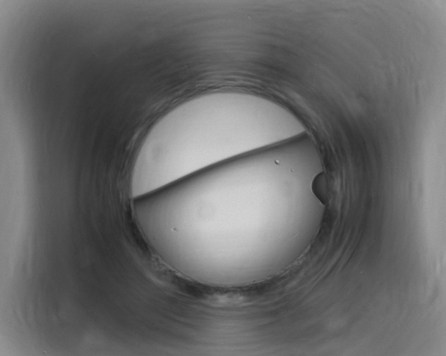 X0000116140500200911230934