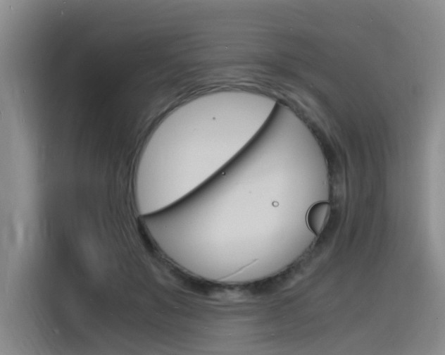 X0000116140503200911230934