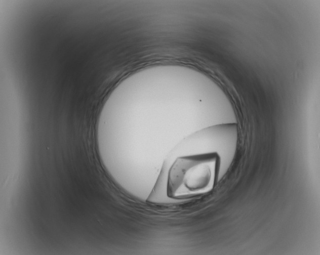 X0000116140505200911230934
