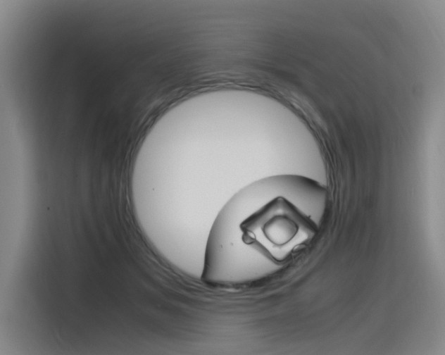 X0000116140509200911230934