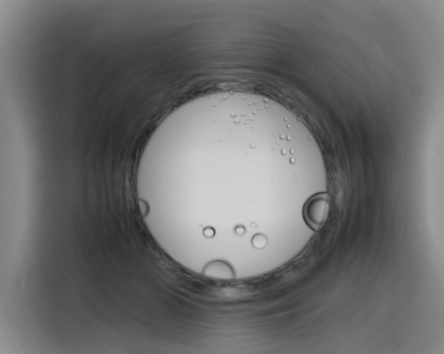 X0000116140510200911230934