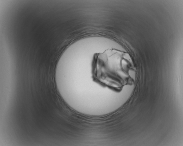 X0000116140513200911230934