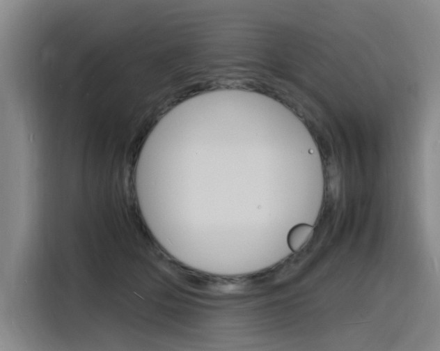 X0000116140514200911230934