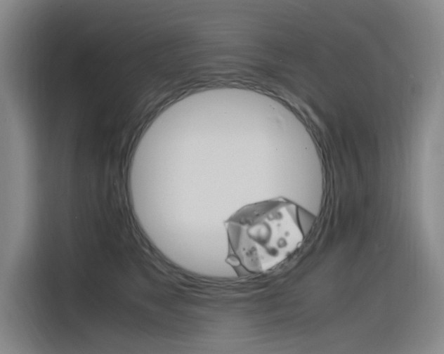 X0000116140517200911230934