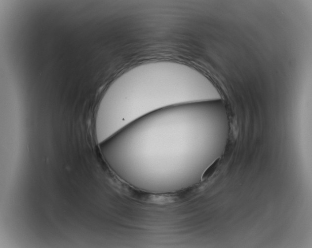 X0000116140520200911230934