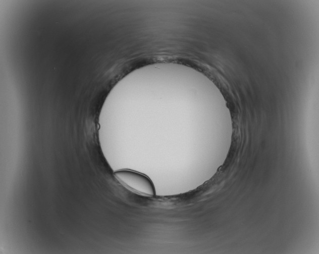 X0000116140523200911230934