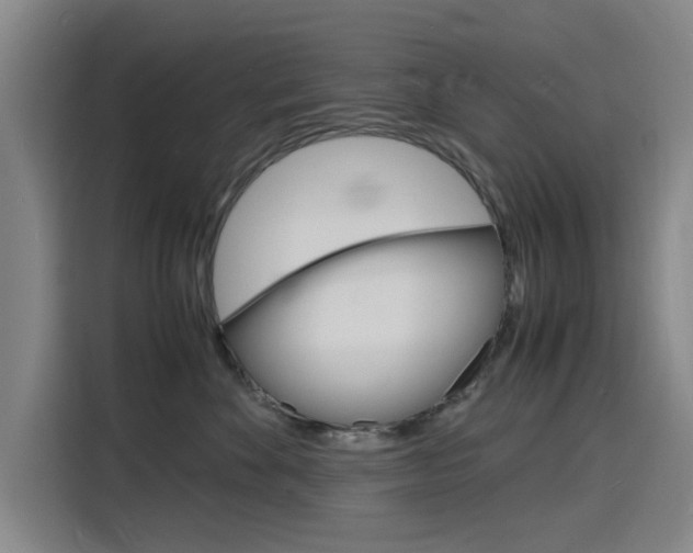 X0000116140524200911230934