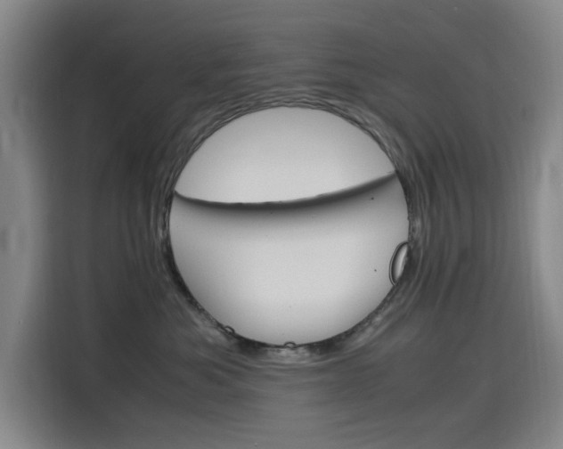 X0000116140525200911230934